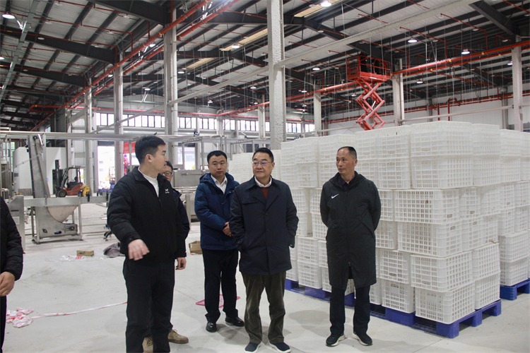 1764898606179843.jpg 4.jpg